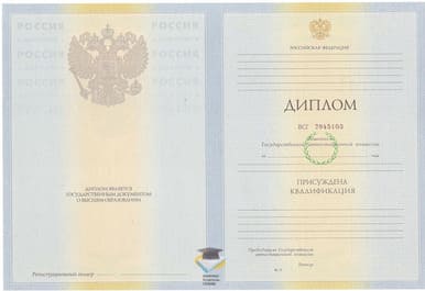 Диплом БАТиП 2010-2011 годов